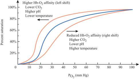 A graph demonstrating the Oxyhaemoglobin Dissociation Curve